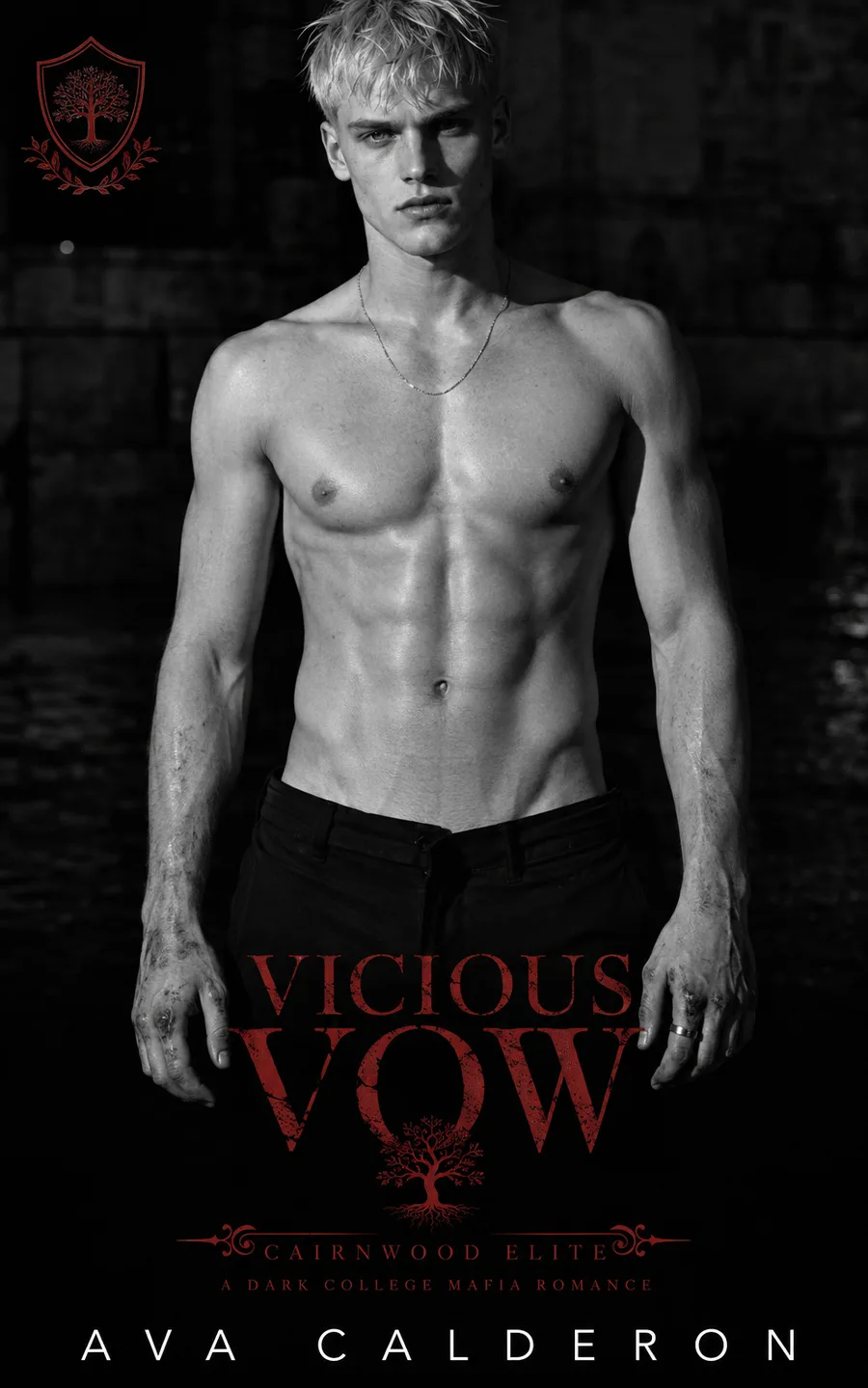Vicious Vow by Ava Calderon